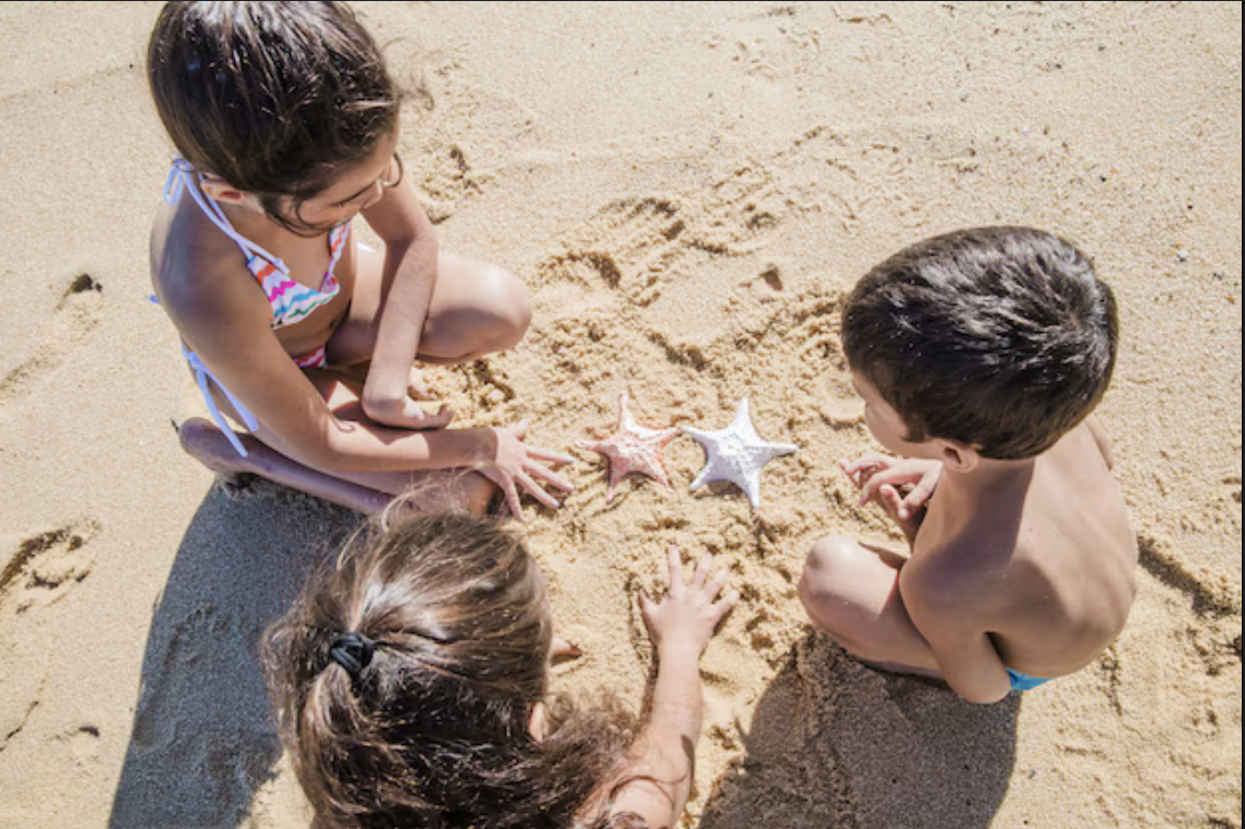 Trois enfants intrigués devant deux étoiles de mer